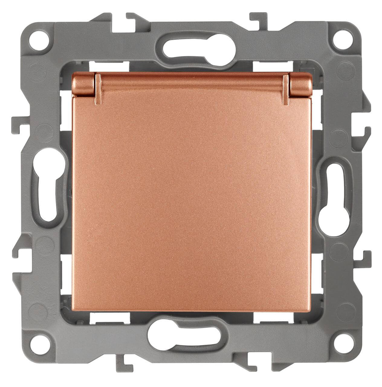 

Розетка ЭРА 12 2P E Schuko со шторками с крышкой 16A 250V 12-2103-14 Б0019329, Медь, 12-2103-14 Эра12