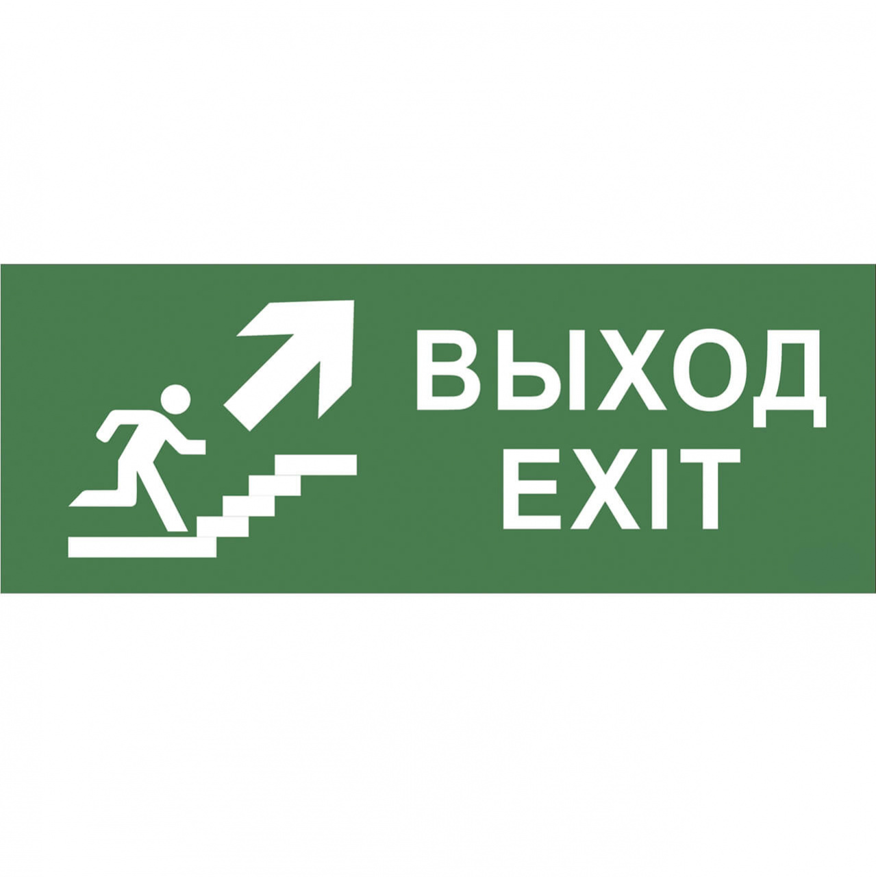 

Пиктограмма ЭРА INFO-SSA-110 Б0048479, Зеленый, INFO-SSA-110 SSA-101