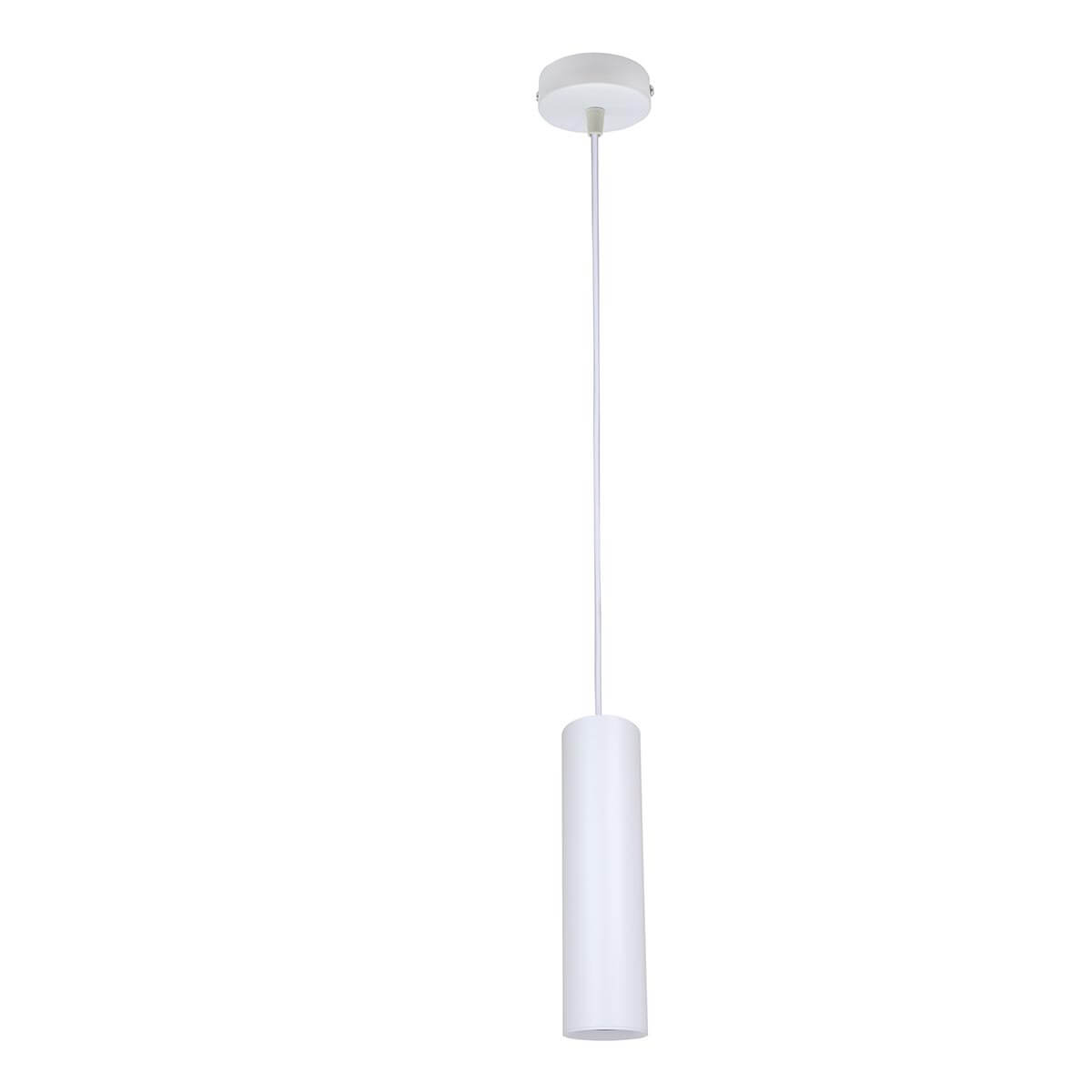 

Подвесной светодиодный светильник ЭРА PL1 COB -10 WH 300 Б0041507, Белый, PL1 COB -10 WH 300 PL1
