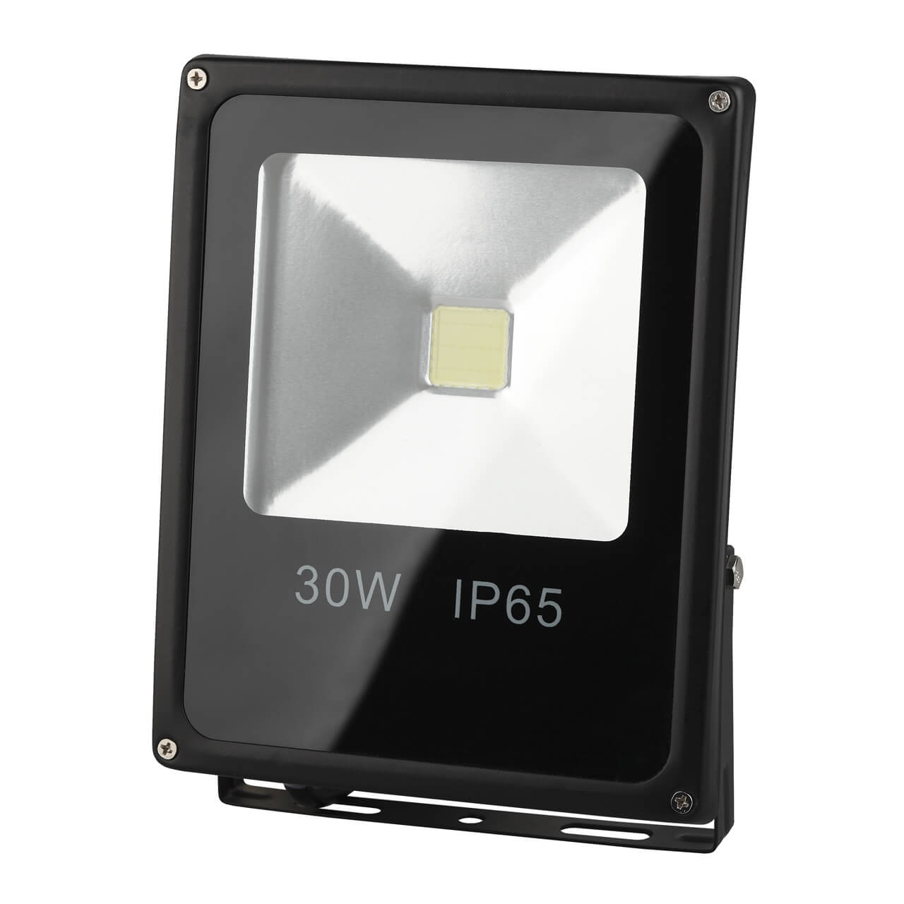 

Прожектор ЭРА LPR-30-6500K-M