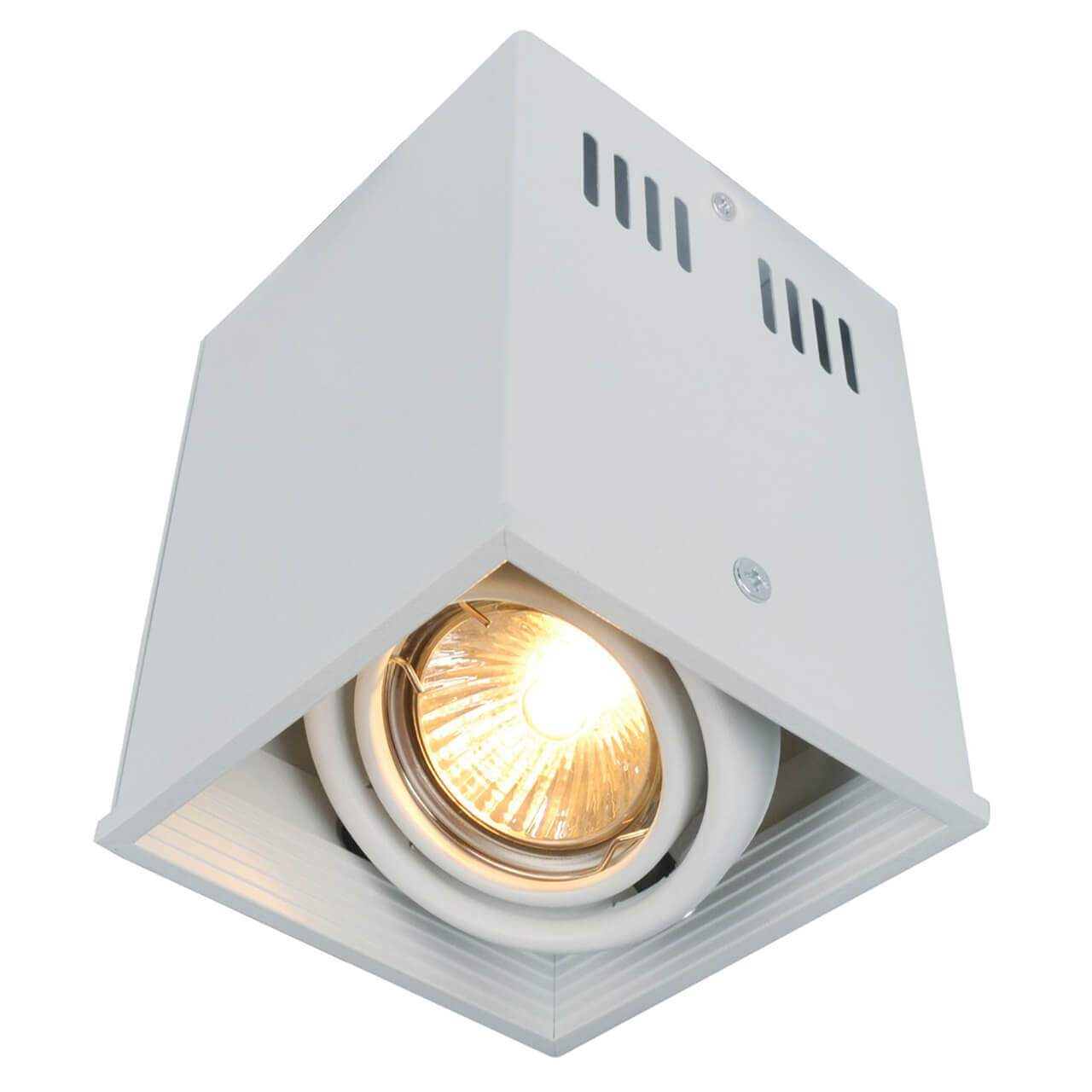 Потолочный светильник Arte Lamp Cardani A5942PL-1WH фото 