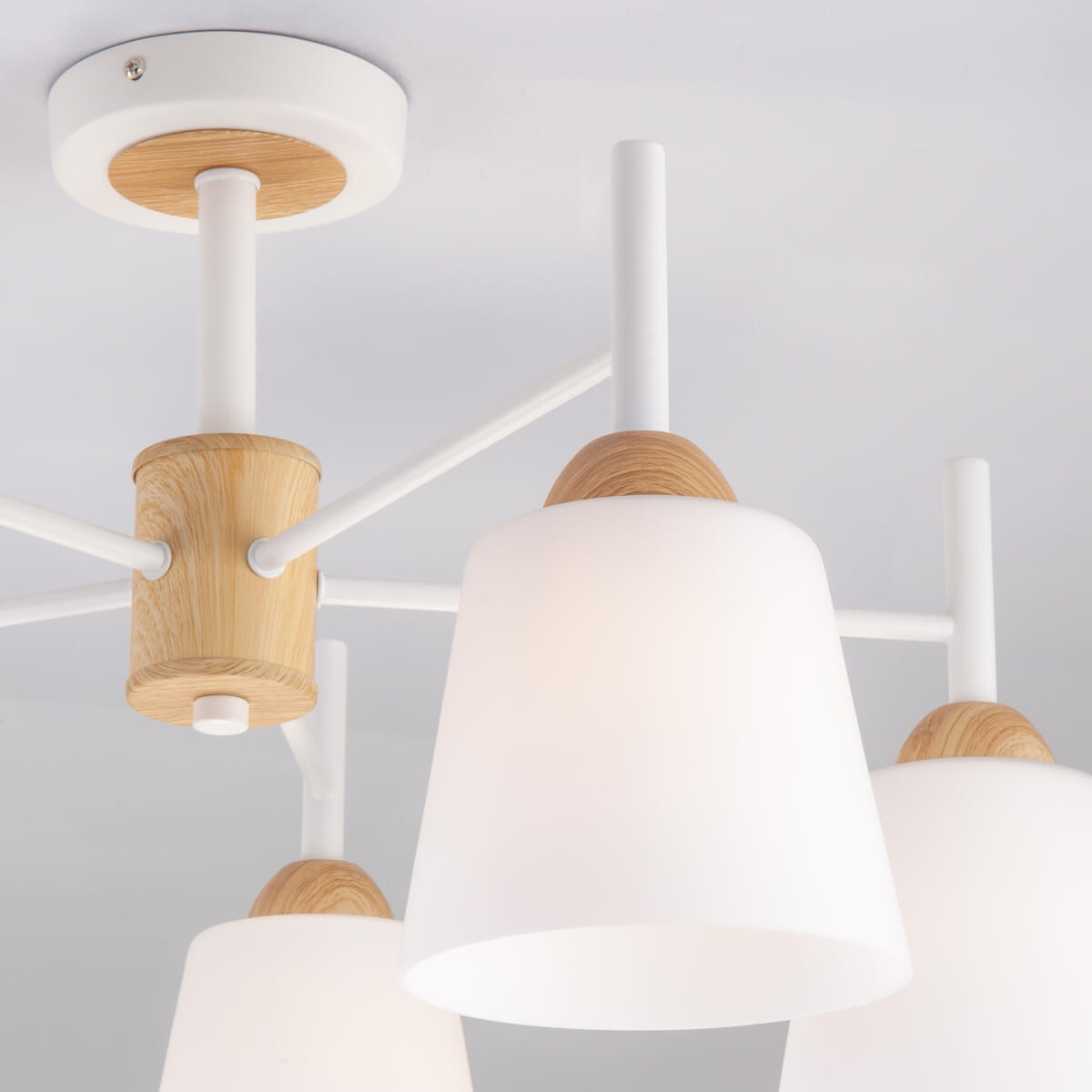 Потолочная люстра Eurosvet 70085/5 белый ⚡ — купить с доставкой по ...