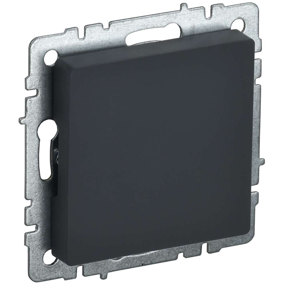BRITE Заглушка с суппортом МЗ10-БрГ графит IEK BR-PL10-K53 ⚡ — купить с ...