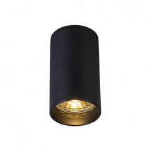 Потолочный светильник Zumaline Tuba sl 1 black 92680