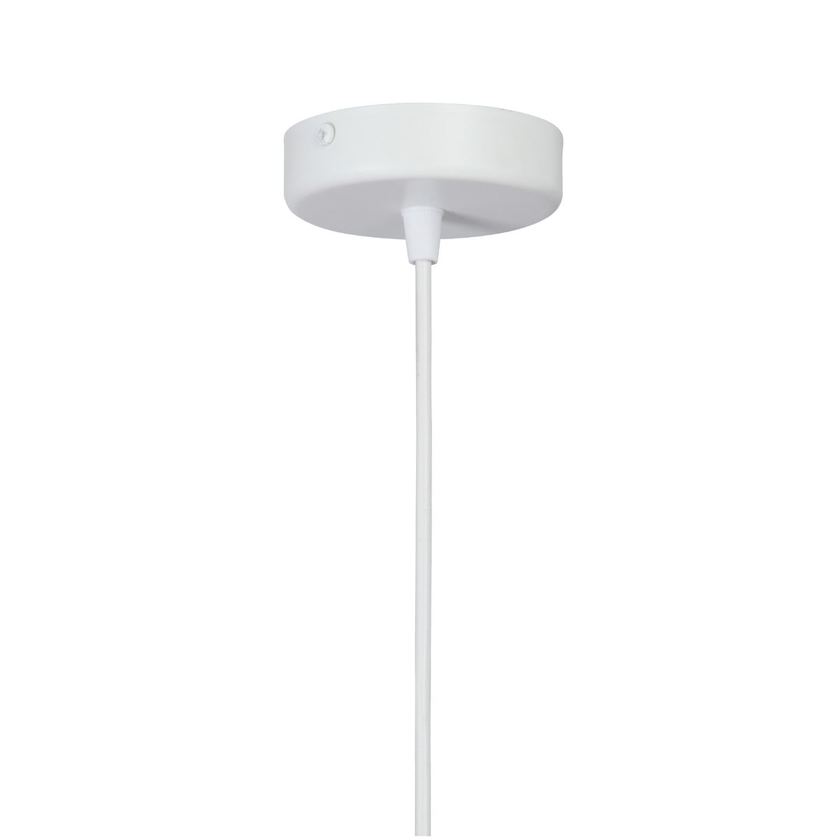 Vitaluce V2971 0 1S vitaluce-v2971-0-1s