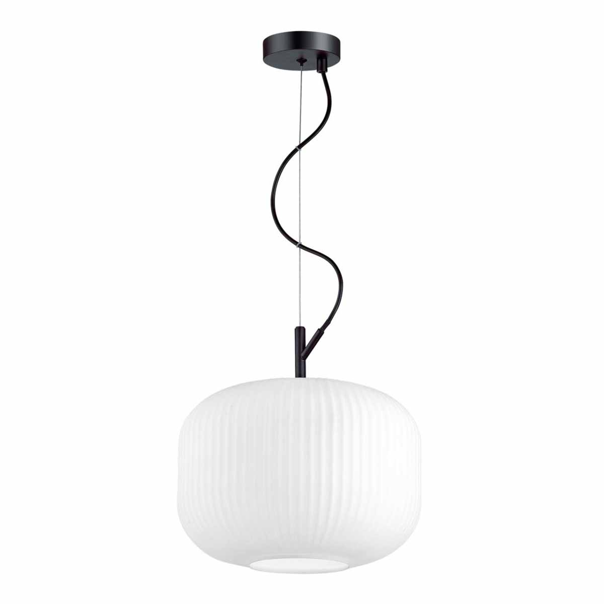Подвесной светильник Odeon Light Pendant Roofi 4754/1 ⚡ — купить с ...