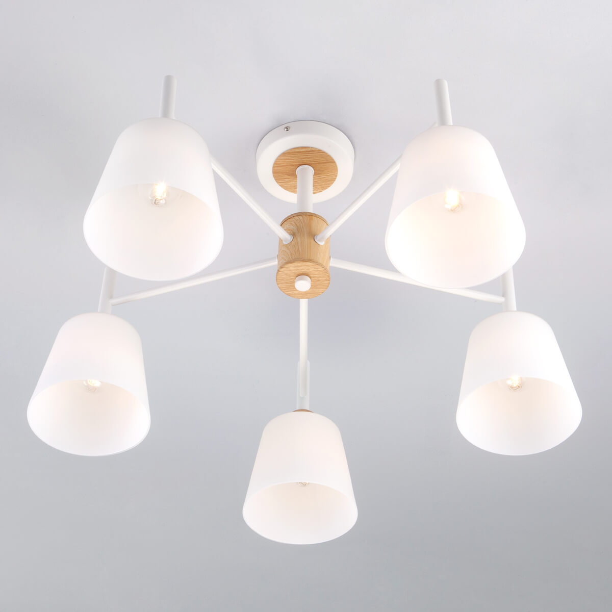 Потолочная люстра Eurosvet 70085/5 белый ⚡ — купить с доставкой по ...