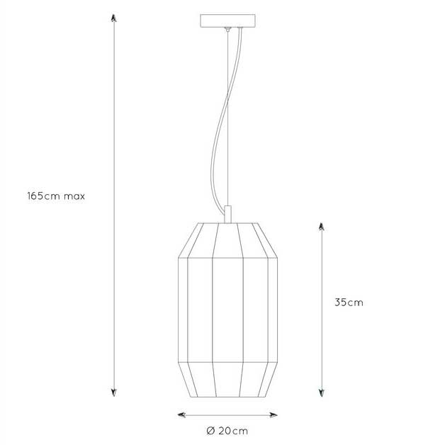 Подвесной светильник Lucide Fern 25408/01/30 изображение 2 Подвесной светильник Lucide Fern 25408/01/30 Фото № 2