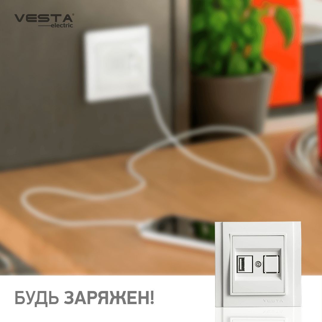 Розетка USB Vesta. Розетка Vesta-Electric двойная. Розетка Vesta-Electric Verona Twin. Vesta Electric Verona c заземлением f00050201bel. Vesta electric