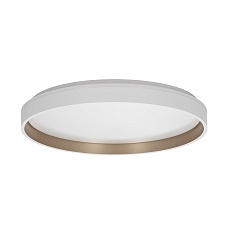 Светильник потолочный Citilux ENZO CL753510G 5