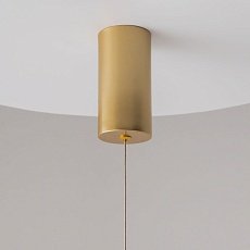 Подвесной светильник Maytoni Ray P022PL-L10MG3K 3