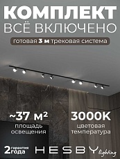 Встраиваемая однофазная трековая система Hesby Lighting Skylite №13 со светильниками HSBL_kompl_S013_VI3B3K