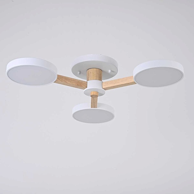 Потолочная люстра Imperium Loft Turna 102157-26 Фото № 3