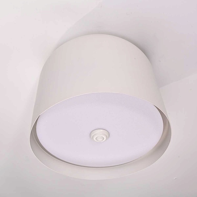 Потолочный светильник Imperium Loft Cylinder 101495-26 изображение 8 Потолочный светильник Imperium Loft Cylinder 101495-26 Фото № 8