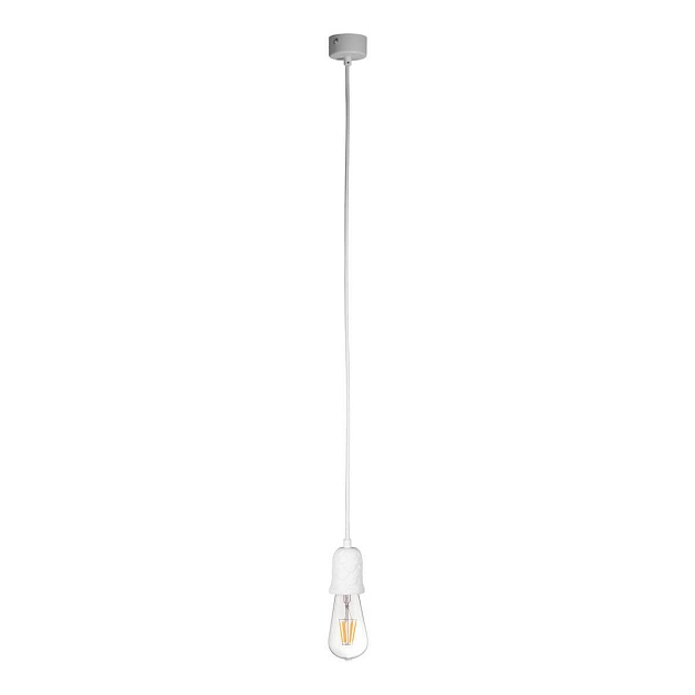 Подвесной светильник Loft IT Sherwood 10091 Фото № 1