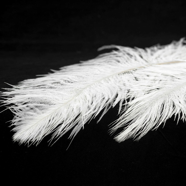 Подвесной светильник Lussole LSP-8601 изображение 8 Подвесной светильник Lussole LSP-8601 Фото № 8