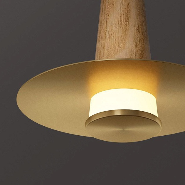 Подвесной светодиодный светильник Imperium Loft Curtiss 189880-23 изображение 3 Подвесной светодиодный светильник Imperium Loft Curtiss 189880-23 Фото № 3