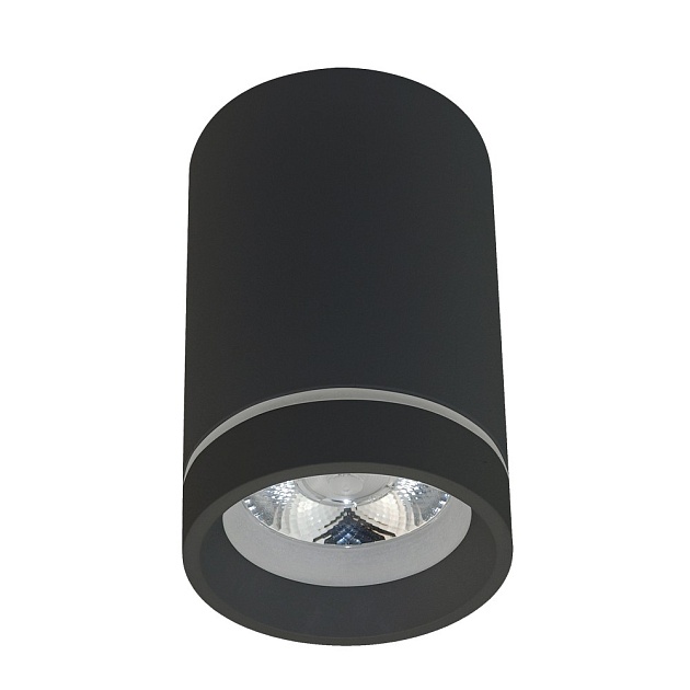 Потолочный светодиодный светильник Aployt Edda APL.0053.19.10 фото 