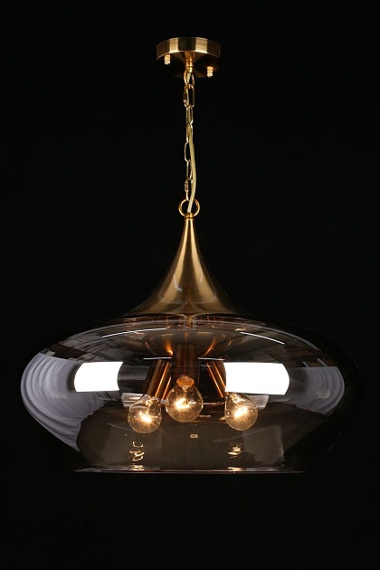 Подвесная люстра Aployt Franko APL.601.16.03 Фото № 4