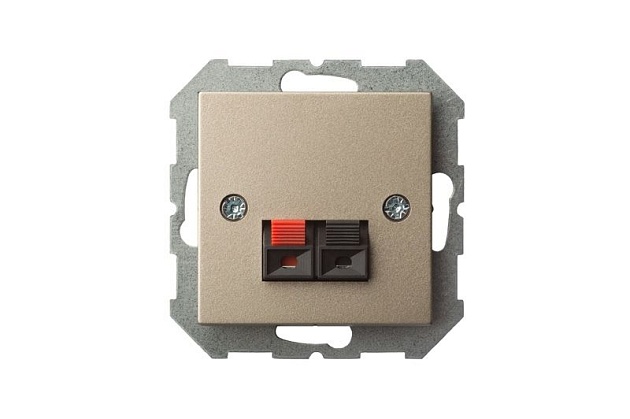 Аудиорозетка Liregus Epsilon шампань 28-324 Фото № 2