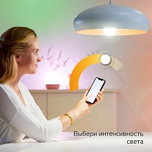 Лампа светодиодная диммируемая Gauss Smart Home E27 10W 2700K матовая 1070112 5