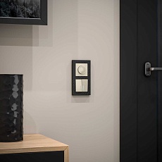 Выключатель двухклавишный с подсветкой Werkel слоновая кость W1120103 4690389155611 1