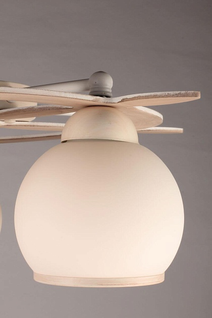 Потолочная люстра Omnilux OML-50517-05 изображение 5 Потолочная люстра Omnilux OML-50517-05 Фото № 5