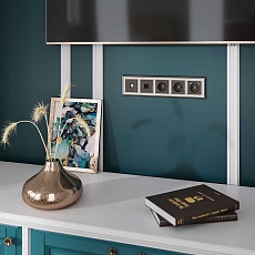 Накладка Werkel для TV розетки оконечной бронзовый W1193012 4690389161810 2