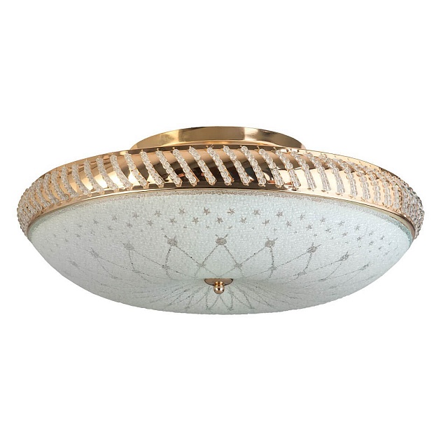 Накладной светильник Toplight Loreen TL1492Y-05GC Фото № 1