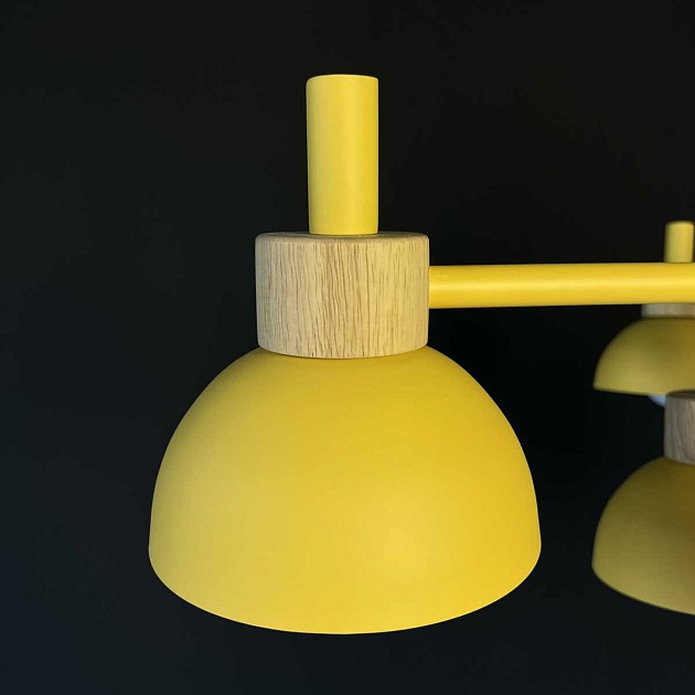 Подвесная люстра Imperium Loft Fanta 101568-26 изображение 3 Подвесная люстра Imperium Loft Fanta 101568-26 Фото № 3