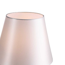 Настольная лампа ST Luce Opalus SL1403.304.01 2