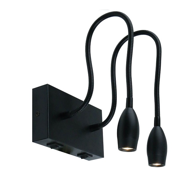 Подсветка для картин Arte Lamp Scorcio A7003AP-2BC Фото № 1