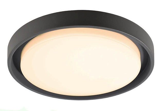 Уличный настенный светильник Deko-Light Ascella 348069 Фото № 1