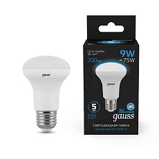 Лампа светодиодная Gauss E14 9W 6500K матовая 106002309 3