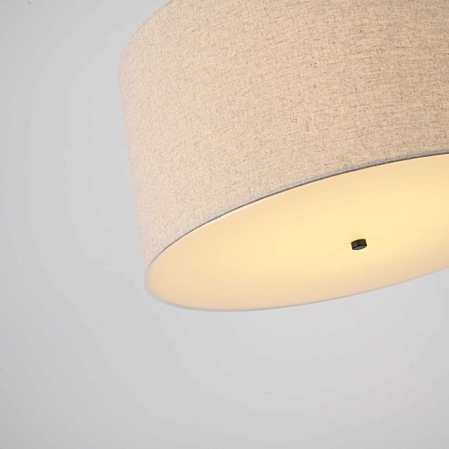 Подвесная люстра Imperium Loft RH Round 75147-22 Фото № 4