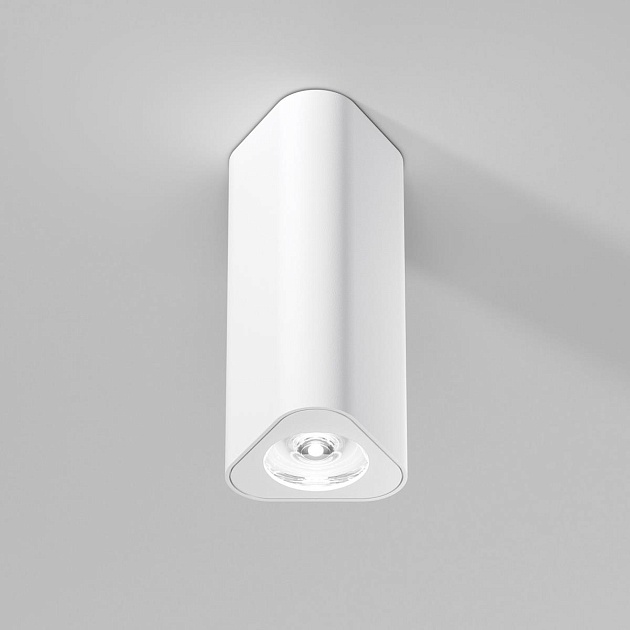 Потолочный светильник Elektrostandard 25110/LED a067062 изображение 1 Потолочный светильник Elektrostandard 25110/LED a067062 Фото № 1