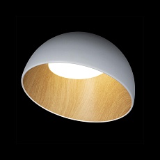 Потолочный светодиодный светильник Loft IT Egg 10197/350 White 5