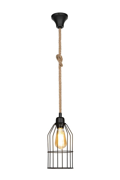 Подвесной светильник Toplight Alfreda TL1601H-01BK Фото № 2
