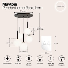 Подвесная люстра Maytoni Basic form MOD321PL-05B 1