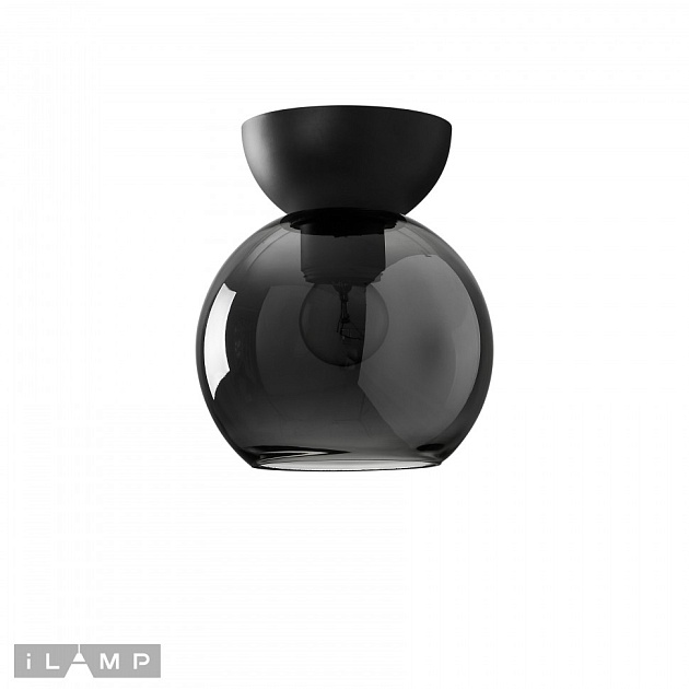 Потолочный светильник iLamp Mono C6079-1 BK+SM Фото № 1