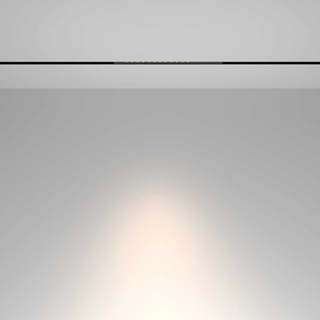 Трековый светильник Maytoni Technical TR232-2-10W4K-B изображение 5 Трековый светильник Maytoni Technical TR232-2-10W4K-B Фото № 5