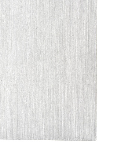 Настенный светильник Vele Luce Сarica VL8273W21 Фото № 3