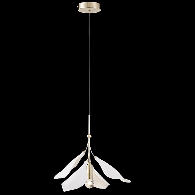 Подвесной светильник Wertmark Miranda WE123.01.306 изображение 1 Подвесной светильник Wertmark Miranda WE123.01.306 Фото № 1