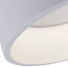 Потолочный светодиодный светильник Arte Lamp A6245PL-1WH 1