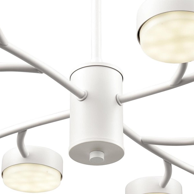 Люстра Lumion TORINA 8265/12 Фото № 3