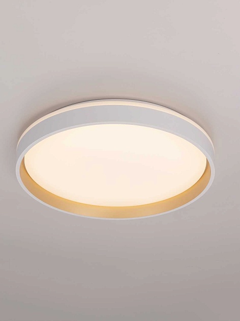 Светильник потолочный Citilux ENZO CL753450G Фото № 13