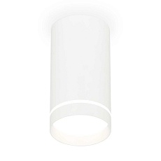 Комплект накладного светильника Ambrella light Techno Spot XS (C8161, N8461) XS8161006