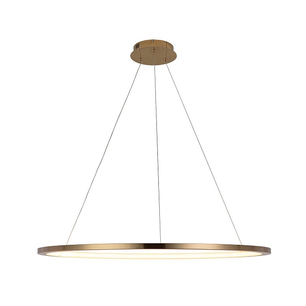 Подвесной светодиодный светильник Loft IT Ring 10014XL Фото № 1