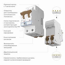 Автоматический выключатель Werkel 2P 16A C 6kA W902P166 4690389192654 1