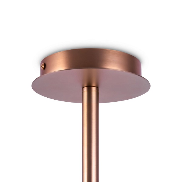 Подвесная люстра Maytoni Erich MOD221-PL-08-G Фото № 4